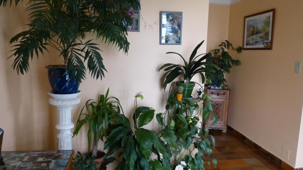 Chambres D'Hotes La Plantade La Barthe-de-Neste Kültér fotó